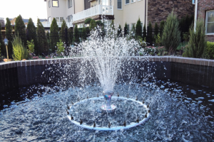 Поселок Вешки. Разработка проекта и его реализация