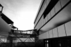 Работа 1850746