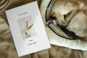 Книга "Алиса в стране чудес"