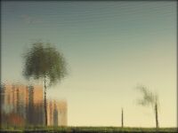 img2442533.png