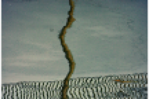 Отражение в Обводном канале