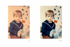 Работа 2442513