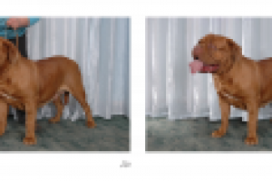 Работа 2491691