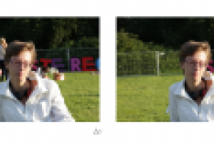 Работа 2442507