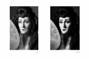 Работа 2442496