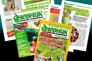 Работа 3150956