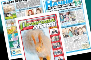 Работа 3150961