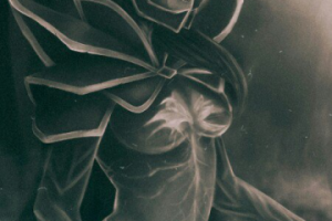 Мортра [Dota2]