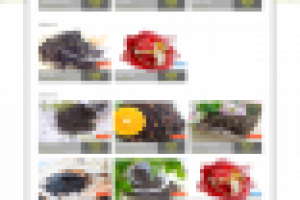 Интернет магазин "Чашка вкуса"