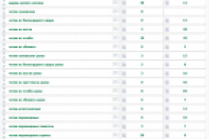 Комплексное продвижение интернет - магазина подарков