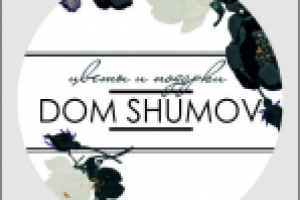 DOM SHUMOV