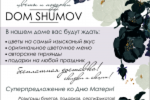 DOM SHUMOV банер