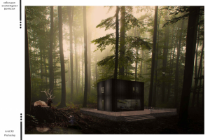 Работа 3131174