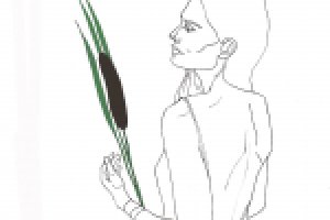 Иллюстрация для одежды