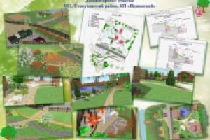 Ландшафтный дизайн-проект  35 соток.