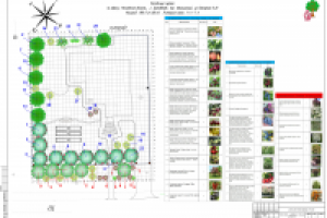 Ландшафтный дизайн-проект  11 соток. Посадочный чертеж