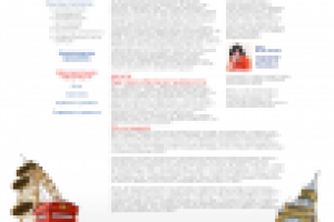 Дизайн сайта образовательной фирмы