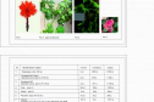 Работа 1871965