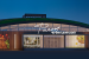 Черёмушкинский рынок