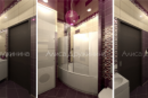 Санузел_Интерьер квартиры в Санкт-Петербурге ( Ленинский пр-т)