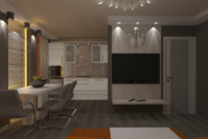 Кухня-гостиная 24 кв.м