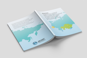 Информационно-аналитическое издание