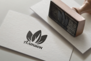 Работа 2978111