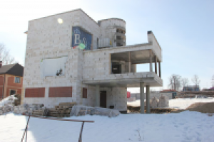 Работа 3119503