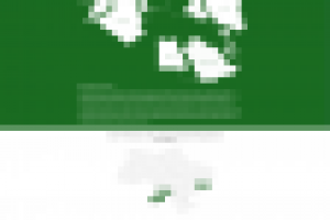 Сайт визитка на Wordpress