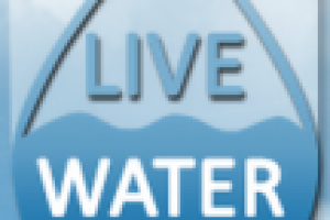 Логотип пример 3