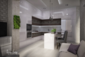 Визуализации современной кухни