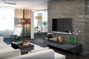 Квартира на Позняках. Гостиная