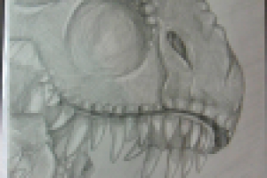 Тираннозавр