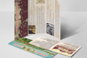 Буклет "Лебяжья пустынь"