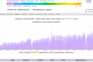 Продвижение сайта салона красоты "ЦирюльникЪ"
