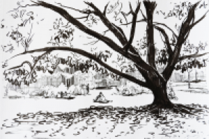 Работа 2901392