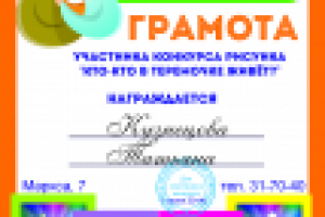 Грамота участникам  детского конкурса от магазина