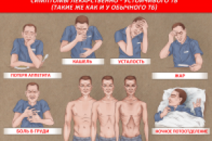 Работа 3129329