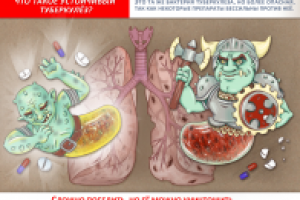 Работа 3129324