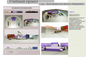учебный проект - выставочная экспозиция обуви