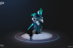 Ninja