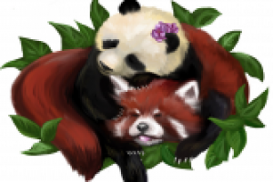 Панды