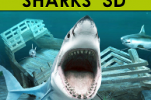 Работа 2003238