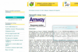 Статья на тему "Лучший товар года"