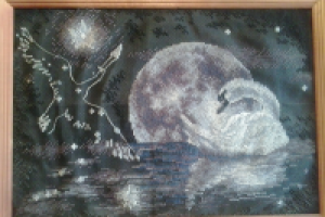 Лунный лебедь