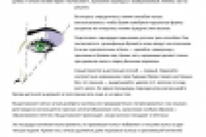 Как сделать форму бровей идеальной