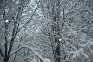 Работа 2633609