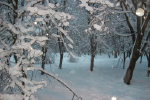 Работа 2633608