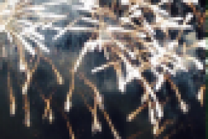 Работа 2633640