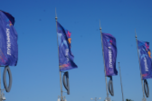 Работа 2633629